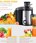 Heavy Duty Stainless Steel Juicer With Extra Wide Mouth For Smooth Extraction And No Pomace Or Pulp Leftovers showing dual-speed settings.