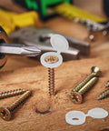 100 Pack Slick Hinged Screw Cap Covers Small White Plastic Dust Shield Plugs installed on a screw with tools in background.
