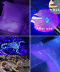Dope 3 In 1 UV Black Light Flashlight detecting stains, revealing scorpions, and illuminating surfaces in UV mode