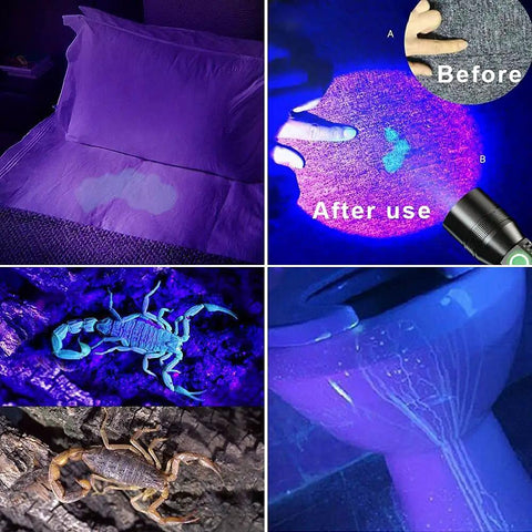 Dope 3 In 1 UV Black Light Flashlight detecting stains, revealing scorpions, and illuminating surfaces in UV mode