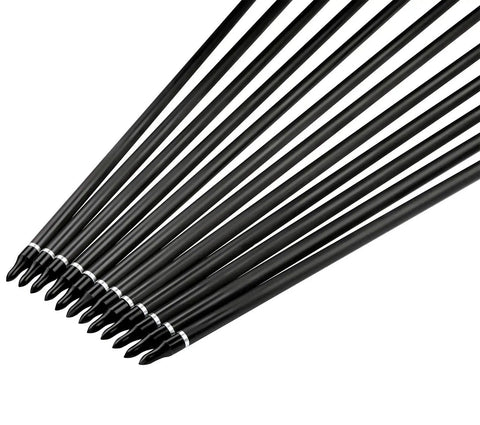 Field Points Kit With O Rings 100 And 125 Grain Arrow Tips for carbon arrows in 12 pack, various sizes, laid out horizontally