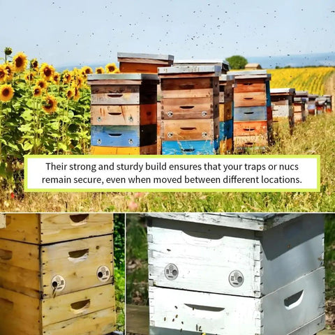 Beehives in field with 4-Pack Stainless Steel Bee Hive Entrance Discs, 4.92 Inch Diameter, Easy Install Entrance Reducers visible