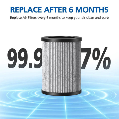 Close-up of Four Pack Replacement Filters For PureZone Mini Portable Air Purifier PEPERSAP with replacement interval information.