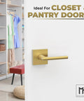 Dummy Lever Door Handle Set Satin Brass 5 Inch 2 Pack Quick Install For Closets And French Doors Non Turning Single Side Lever