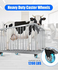 3 Inch Plate Caster Wheels Heavy Duty With Brake 1200 Lbs Set Of 4 locking 360 Degree Swivel No Noise Polyurethane blue castors shown under a cage holding a cow, demonstrating load capacity and mobility in an office setting.