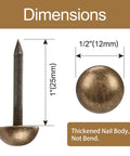 Top Shelf Solid Brass Antique Upholstery Tacks With Realistic Bronze Hue Heavy Duty Furniture And Carpet Thumb Tacks Size Half Inch dimensions with thickened nail body