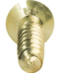 Top Shelf Solid Brass Flat Head Wood Screws #5 X 1/2 Inch With Traditional Slotted Drive close-up view showing flat head detail.
