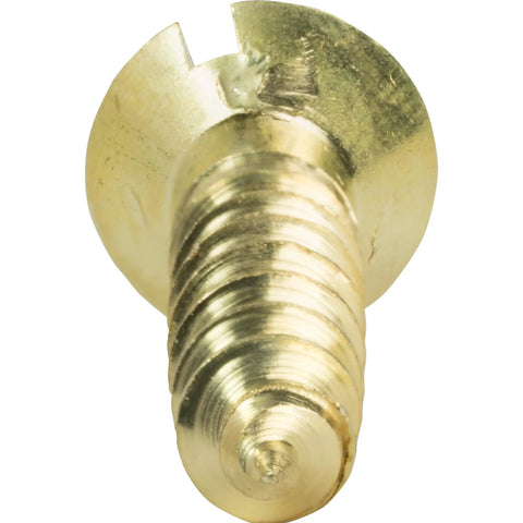 Top Shelf Solid Brass Flat Head Wood Screws #5 X 1/2 Inch With Traditional Slotted Drive close-up view showing flat head detail.