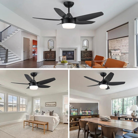 40 Inch Black Ceiling Fan With Lights And Remote Modern Indoor Ceiling Fan With Dimmable Lights Reversible Five Blade Design in living rooms
