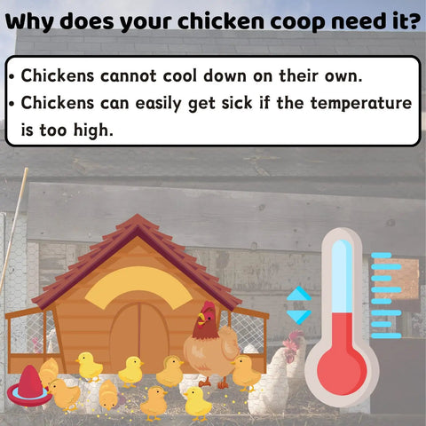 Why does your chicken coop need instant cooling? Illustration of chickens, coop, and thermometer showing heat concerns.