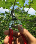 Micro-Tip Pruning Snip For Delicate Flower Arranging And Plant Trimming, Lightweight Little Garden Hand Pruner held trimming plant