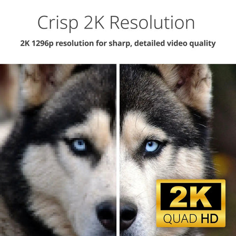 Comparison image showing difference in 2K resolution on a dog's face for Mydlink Full HD WiFi Pan Tilt Security Camera 360 View No Fuss Setup Pet And Baby Monitoring Motion Detection Night Vision Cloud And MicroSD Recording For Home Security And Baby Room Checkups.