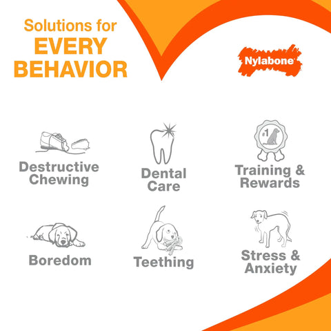 Power Chew Original Bone Dog Toys For Aggressive Chewers Durable Chicken And Bacon Flavor 2 Pack, Nylabone behavior solutions graphic