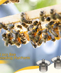 Beekeeping Queen Bee Marker Kit Pro Pack with 50 beekeeping platforms shown with bees on honeycomb