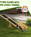 71 Inch Dog Agility Seesaw Outdoor Training And Exercise Wooden Platform Pro Grade Obstacle Course For Backyard Fun