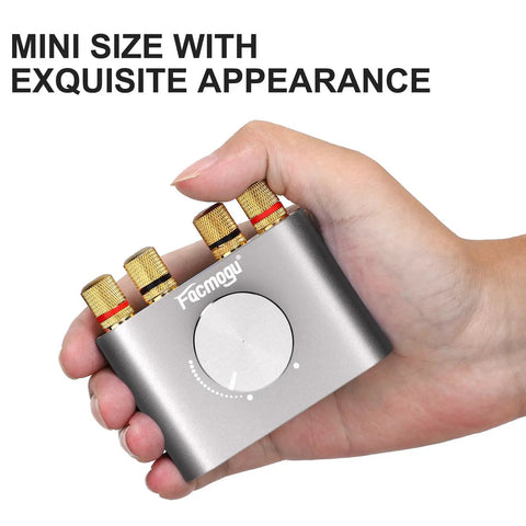 F900S 80W X 2 Bluetooth 5.0 Mini Amplifier held in hand, showing silver finish and compact design with control knob and inputs