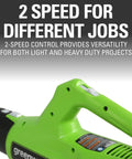 No Fuss Outdoor Cleaning Cordless String Trimmer Paired With Killer Leaf Blower Combo Kit showing 2-speed control for versatility.