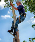 Person using All In One Tree Climbing Gear Set With Adjustable Climbing Straps Steel Core Flip Line on tree