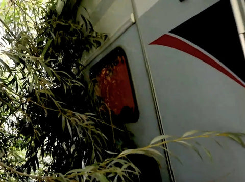 Side view of a caravan with trees blocking path, applicable use for Acrylic Scratch Remover For Clear Plastic And Plexiglas On Cars Motorcycles Caravans And Boats That Removes Scratches Fast With Pro Grade Results That Looks Like A Factory Finish.