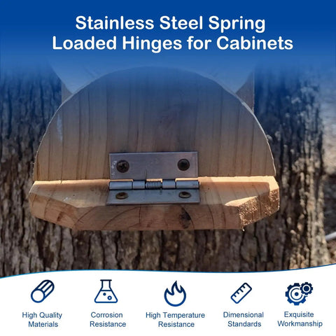 Four Pack Self Closing Spring Hinges For Cabinets And Doors 2 Inch Length Stainless Steel Heavy Duty Spring Loaded Hardware