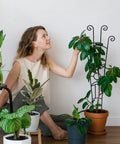 Woman using 32.6 Inch Expandable Metal Plant Trellis For Indoor And Outdoor Climbing Plants Two Pack Heavy Duty Tall Support.