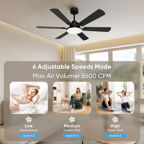 52 Inch Ceiling Fan With Lights Six Double Sided Blades Ultra Quiet Reversible DC Motor Remote And App Control in living room