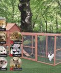 Chicken in outdoor coop with Galvanized Wire Mesh Fence Roll 36 In By 100 Ft Half Inch Square Mesh 19 Gauge Heavy Duty Welded Cage Fencing.