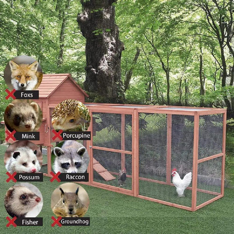 Chicken in outdoor coop with Galvanized Wire Mesh Fence Roll 36 In By 100 Ft Half Inch Square Mesh 19 Gauge Heavy Duty Welded Cage Fencing.