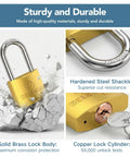 DELSWIN weatherproof padlock 2-pack with solid brass body, copper cylinder, and hardened steel 1-9/16 in shackle