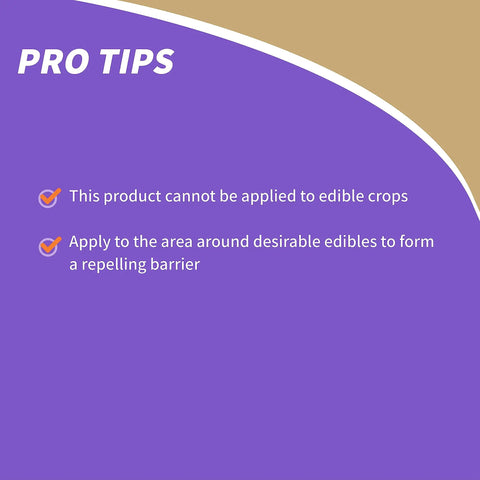 Image with pro tips for Outdoor Chipmunk Squirrel and Rodent Repellent Spray 32 Oz Ready to Spray Formula, cautioning against edible crops application.