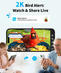 Outdoor Bird Feeder Camera Bird Bath Dual Lens 2K HD Smart Feeder Solar Powered AI Bird Identification Instant Alerts shown on smartphone.