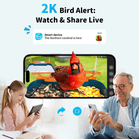Outdoor Bird Feeder Camera Bird Bath Dual Lens 2K HD Smart Feeder Solar Powered AI Bird Identification Instant Alerts shown on smartphone.