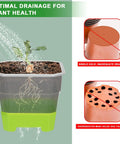 Ten Pack 4 Inch Clear Nursery Pots With Reinforced Silicone Base For Easy Transplant And Root Friendly Seed Starter Seedling Pots With Drainage For Greenhouse Or Garden Use showing optimal drainage.