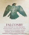 Cover of Hawking Handbook For Enthusiasts: Practical Training Tips, Peregrine And Passage Hawks featuring a falcon image