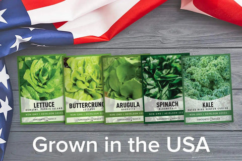 Five Pack Of Lettuce And Greens Seeds Including Arugula Spinach Kale Buttercrunch Romaine And More Non GMO With Plant Markers For Indoor Or Outdoor Garden on wooden background with USA flag