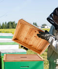 Beekeeper holding a wooden telescoping hive cover near beehive, part of Telescoping Hive Covers And Beehive Inner Covers For 10 Frame Beehives