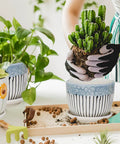 Person planting in Dope Three Piece Ceramic Plant Pots Set With Drainage Holes And Saucers For Indoor And Outdoor Vibes, Large 6.75 Inch