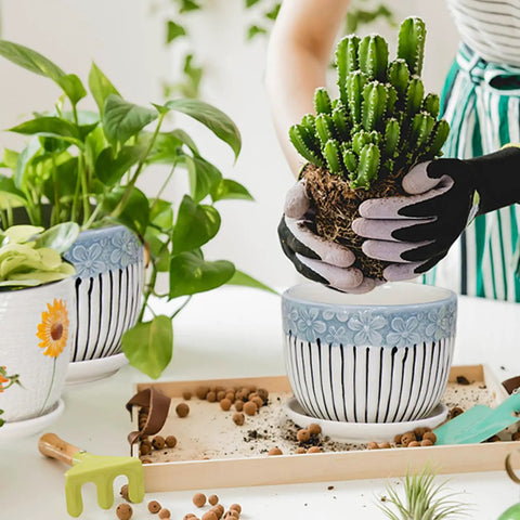 Person planting in Dope Three Piece Ceramic Plant Pots Set With Drainage Holes And Saucers For Indoor And Outdoor Vibes, Large 6.75 Inch