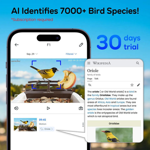 Smart Bird Feeder With Camera For Outdoors Solar Powered Bird House 2K HD Live Video AI Species ID Real Time Alerts 2.4G WiFi Brown Perfect Gift For Bird Lovers showing live video of bird identification on phone screen with trial information.