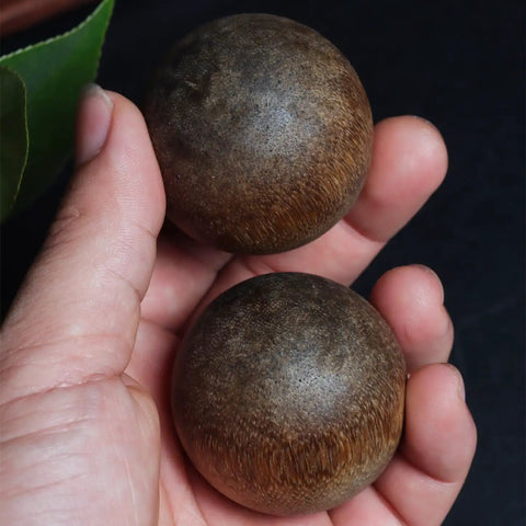 Hand holding Dope Vietnam Nha Trang Agarwood White Aquilaria Old Growth Raw Material spheres for carving and wellness accessories