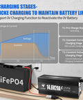Heavy Duty 12V 20A LiFePO4 Battery Charger With 0V Activation, 14.6V Output in use demonstrating charging stages diagram