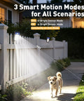Clip On Solar Lights 4 Pack With 60 LED 500LM Motion Sensor lighting a path with a dog near a fence at night