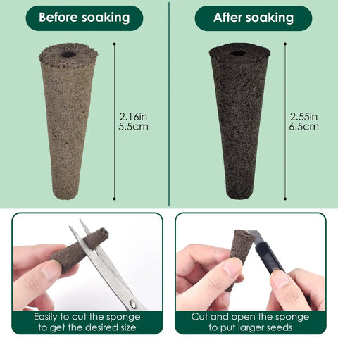 50 Pack Grow Sponges For AeroGarden Compatible Seed Pods Replacement Root Growth Sponges Seedling Starter Kit shown before and after soaking, with scissors cutting to size.