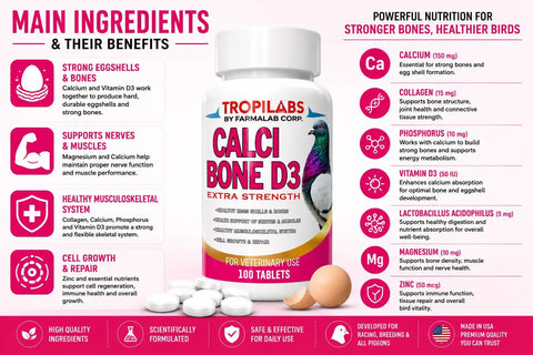 Image of Pigeon Calcium Bone D3 Supplement With Vitamin D3 And Collagen Extra Strength Formula, 100 tablets bottle with listed benefits.