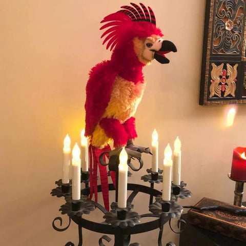 Red and yellow decorative parrot perched on chandelier with 12 Pack Flameless Led Taper Candles No Remote Hanging Floating Candles Battery Operated Candlesticks Electric Flickering 6.5 Inches For Halloween Parties Church Christmas Decor Great Vibe.