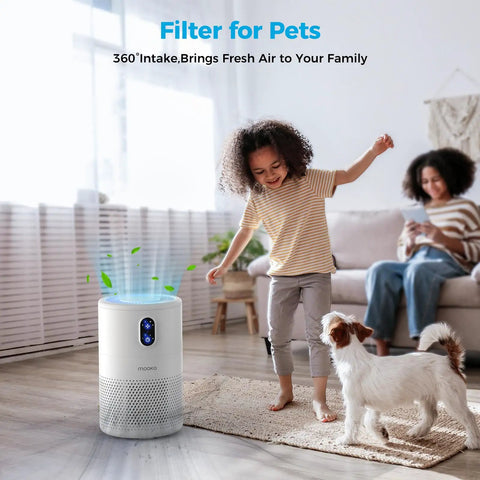 Replacement HEPA Filter For B-D02L Air Purifier 1 Pack H13 True HEPA Filtration in living room with child and dog
