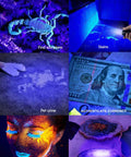 Collage of uses for 395nm UV light: scorpion detection, carpet stains, pet urine, currency check, glow party, resin curing