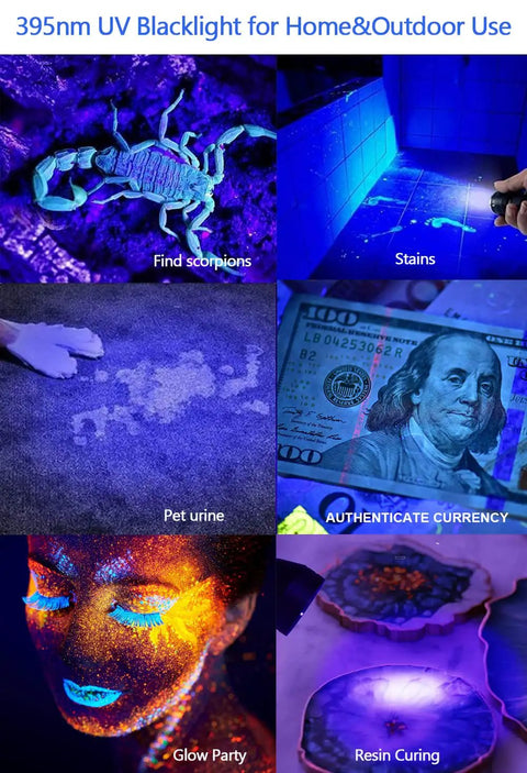 Collage of uses for 395nm UV light: scorpion detection, carpet stains, pet urine, currency check, glow party, resin curing