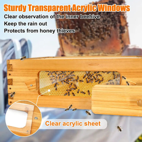 10 Frame Medium Beehive Box For Langstroth Hives With Beeswax Coated Wood Panels Includes Frames And Beeswaxed Foundations Unassembled Construction And Clear Plexiglass Observation Windows For Easy View.