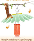 Squirrel on 10.5 Inch Hummingbird Feeder Shade Dome Cover Rain Guard Weather Shield For Bird Feeders Umbrella Roof Squirrel Baffle